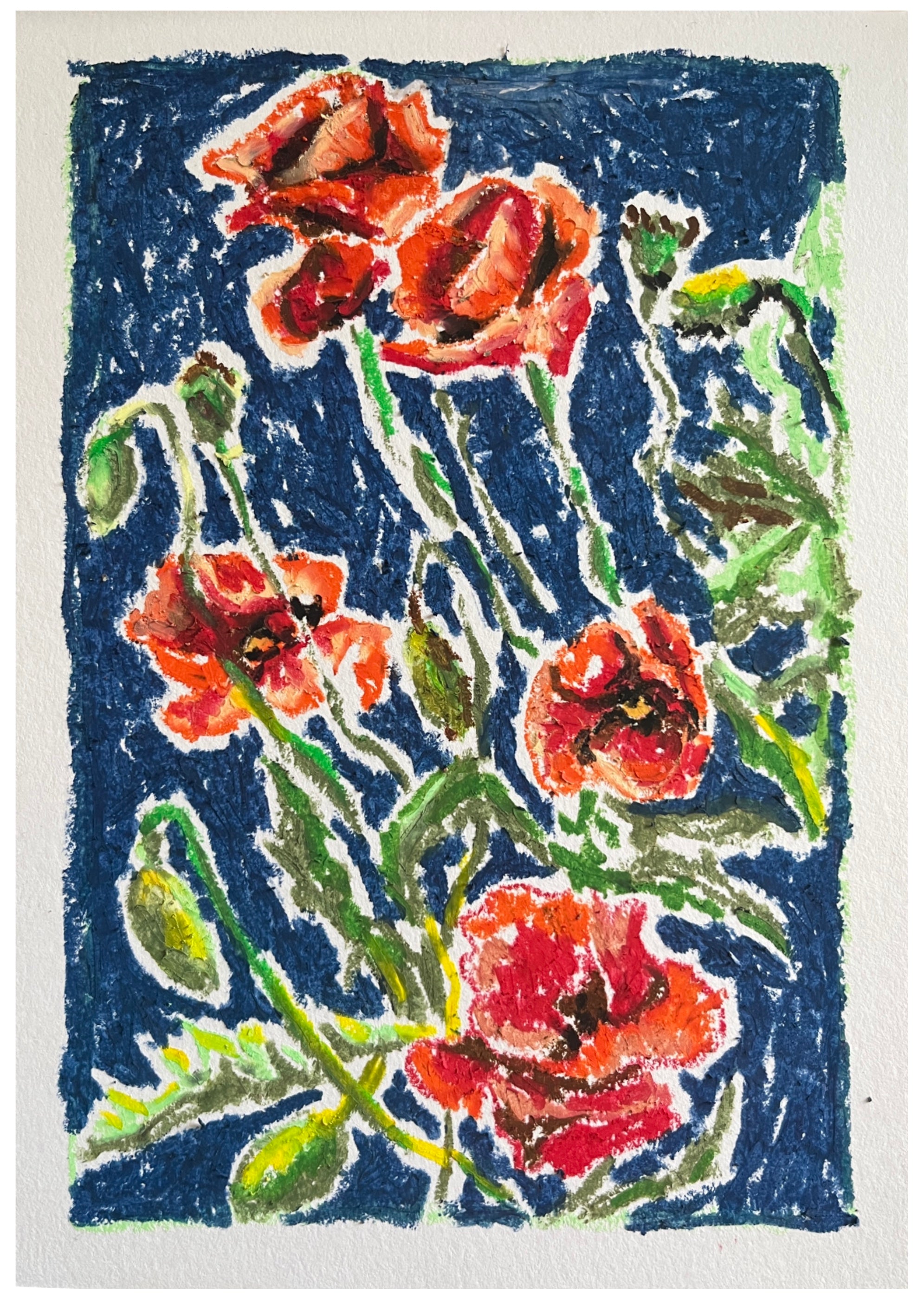 Poppies, A5