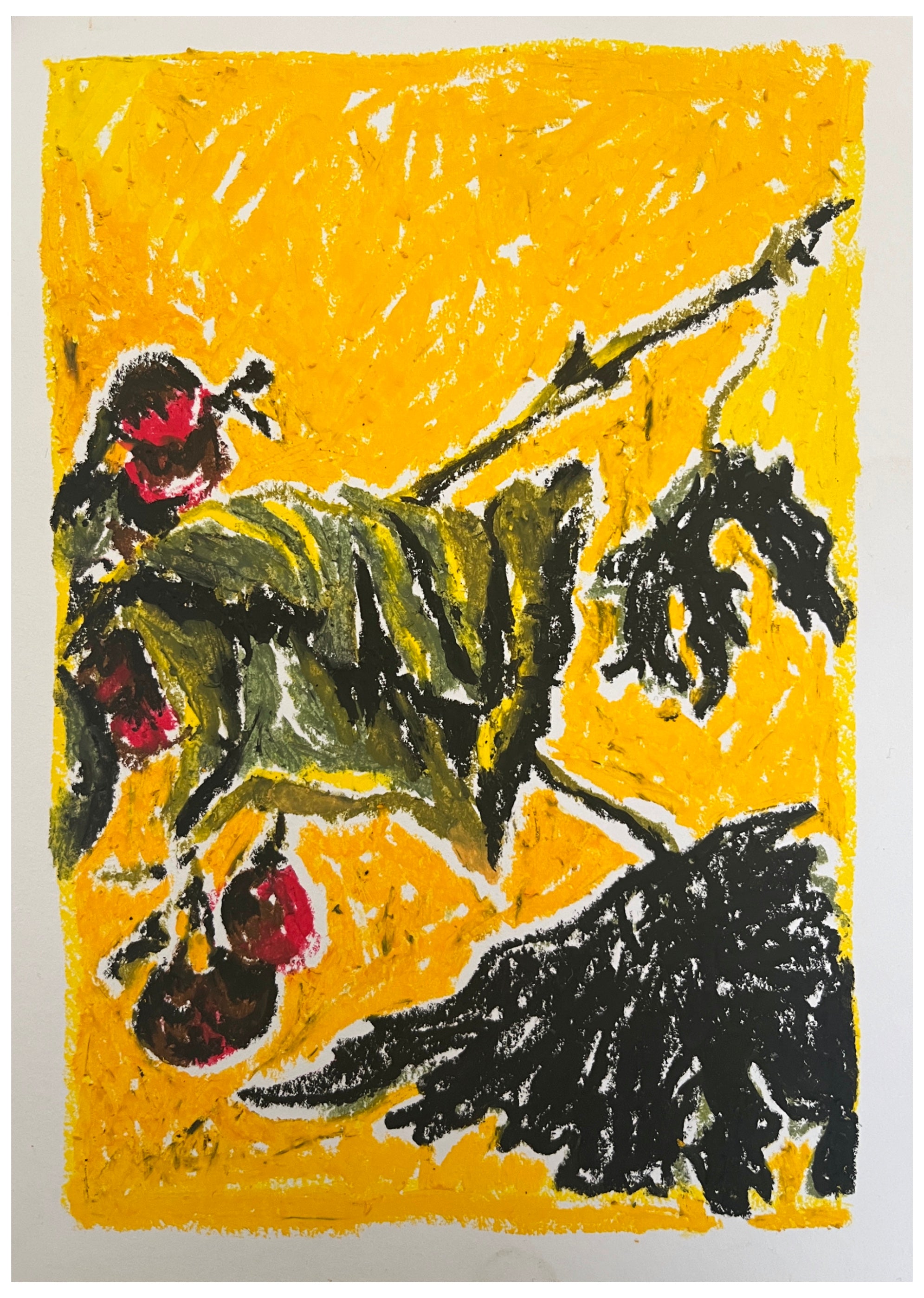 Red Rowan, A5