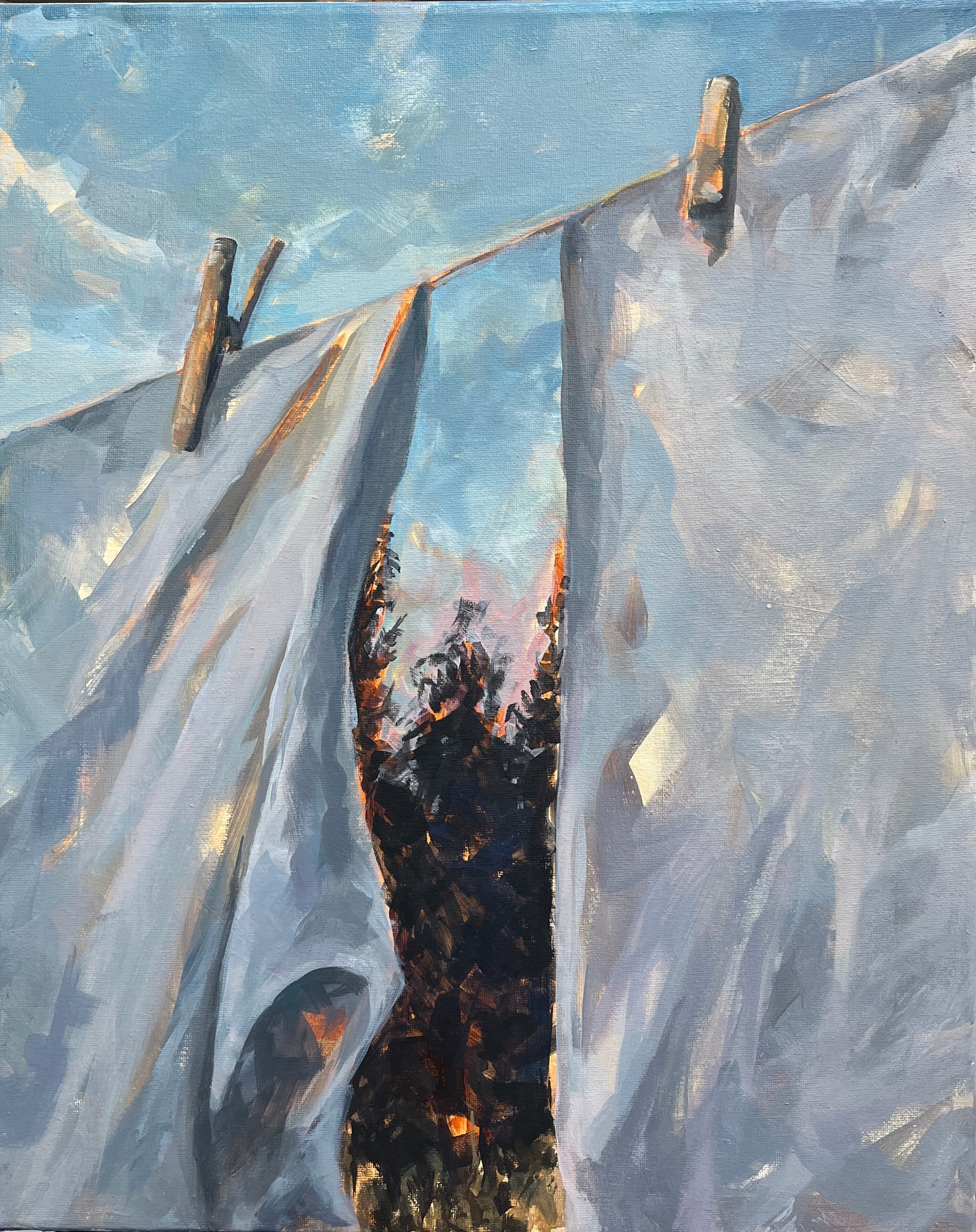 Fragile Domesticity, 51x40.5 cm
